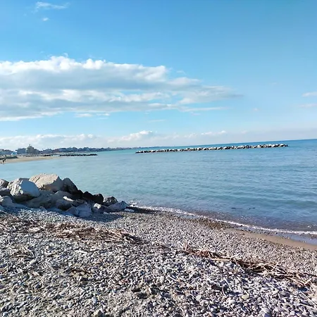 酒店 金色玫瑰酒店 里米尼