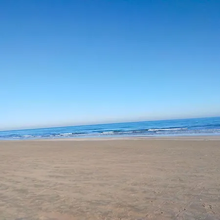 金色玫瑰酒店 酒店