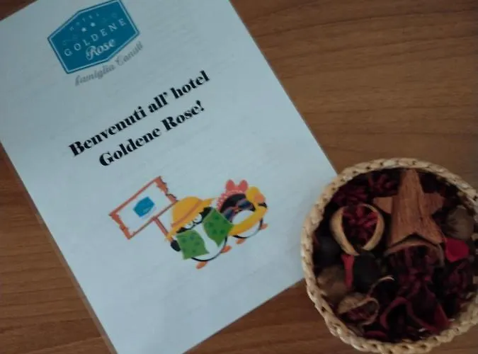 酒店 金色玫瑰酒店