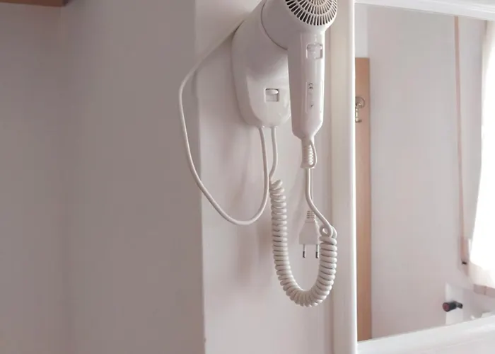 酒店 金色玫瑰酒店 里米尼