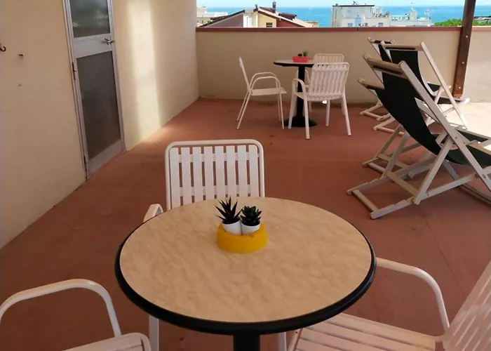 酒店 金色玫瑰酒店 2*