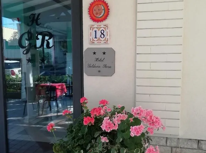 金色玫瑰酒店 酒店 2*