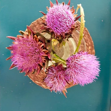 Goldene Rose Отель Римини