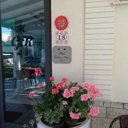 Goldene Rose Отель 2*