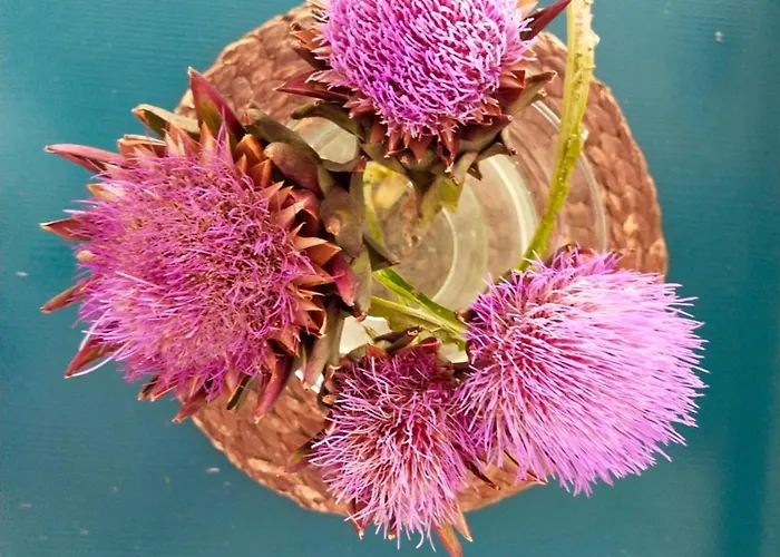 Goldene Rose Ξενοδοχείο Ρίμινι