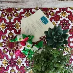 Ξενοδοχείο Goldene Rose Ρίμινι