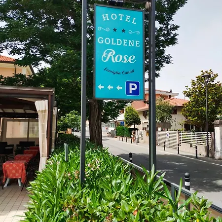 酒店 金色玫瑰酒店 里米尼